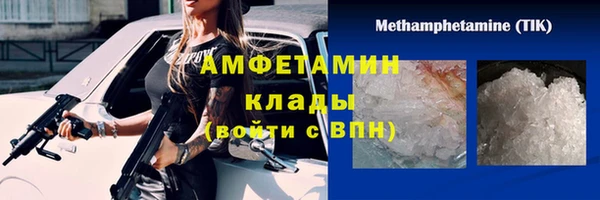 трава Наволоки